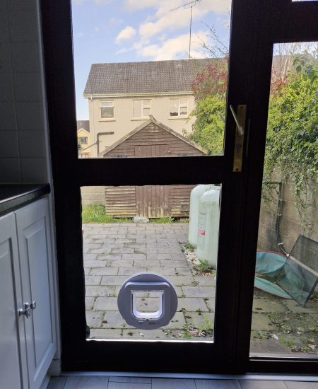 cat flaps, entry for cats to house, dog door, dog flap for glass doors animal entry doors, dog doors dog flaps, cat flaps